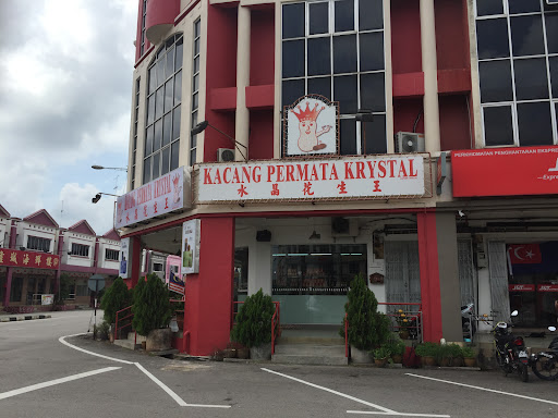 Crystal Peanut King Yong Peng