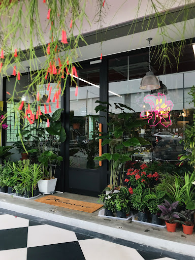 Lily Floristry + Cerita Matcha