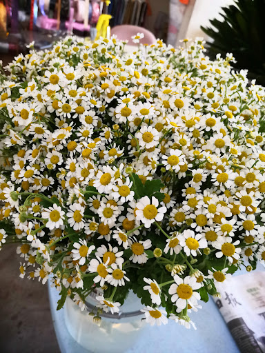 Hanalize Flower & Gift House